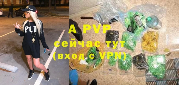 apvp Пересвет