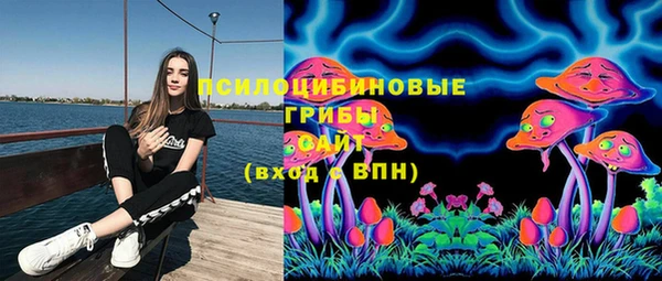 экстази Осинники
