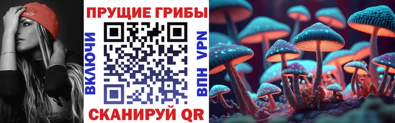 Псилоцибиновые грибы мухоморы  Купить где  Холмск 